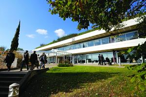 Insurance Amp Expenses French Business School Emlyon